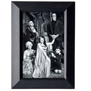 The Munsters family Munster Vintage Original Gothic Punk Rock Goth Emo 60s art